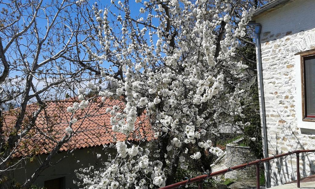 Anovolios Boutique Hotel Agios Georgios Nilias Dış mekan fotoğraf